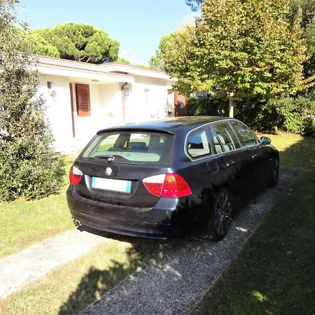 Stella * Бібіоне